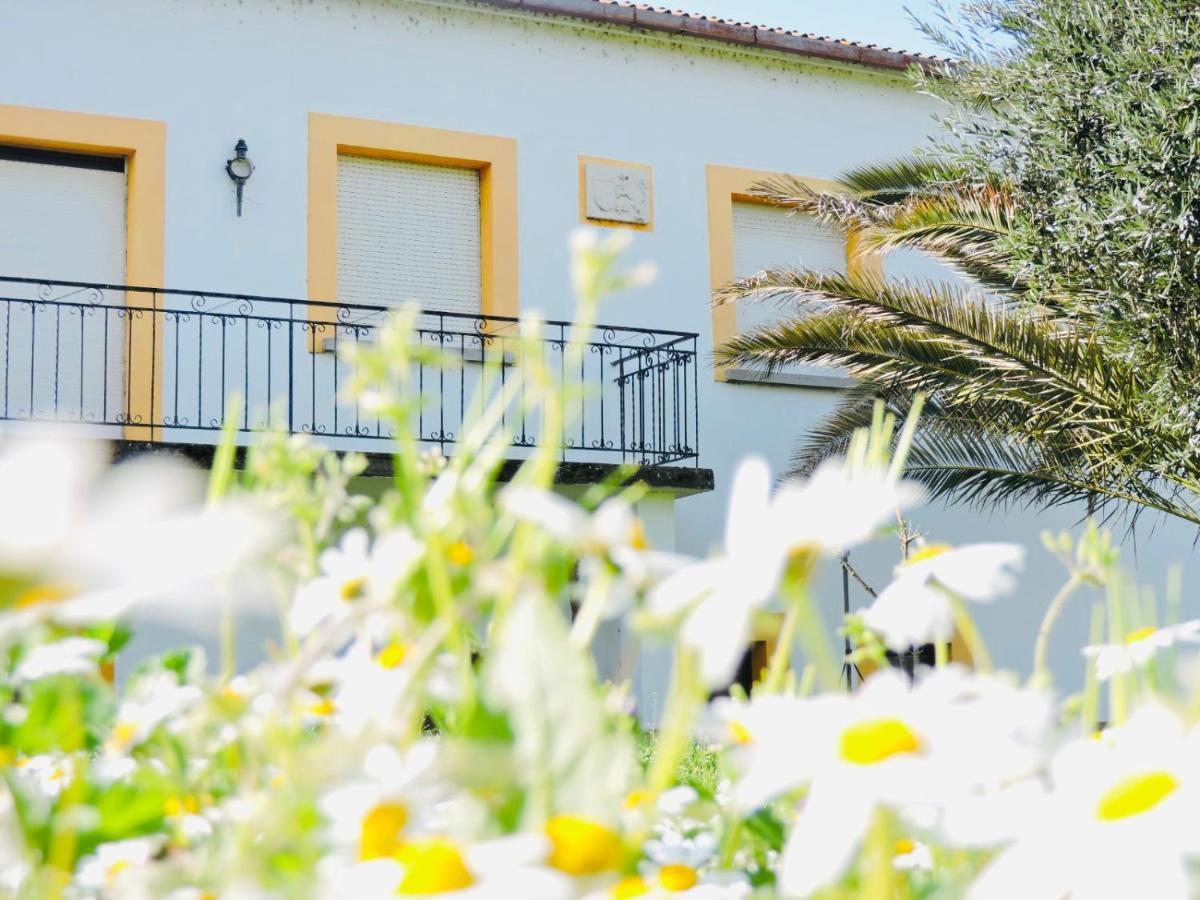 Nogueira Country House Fundão Exterior photo