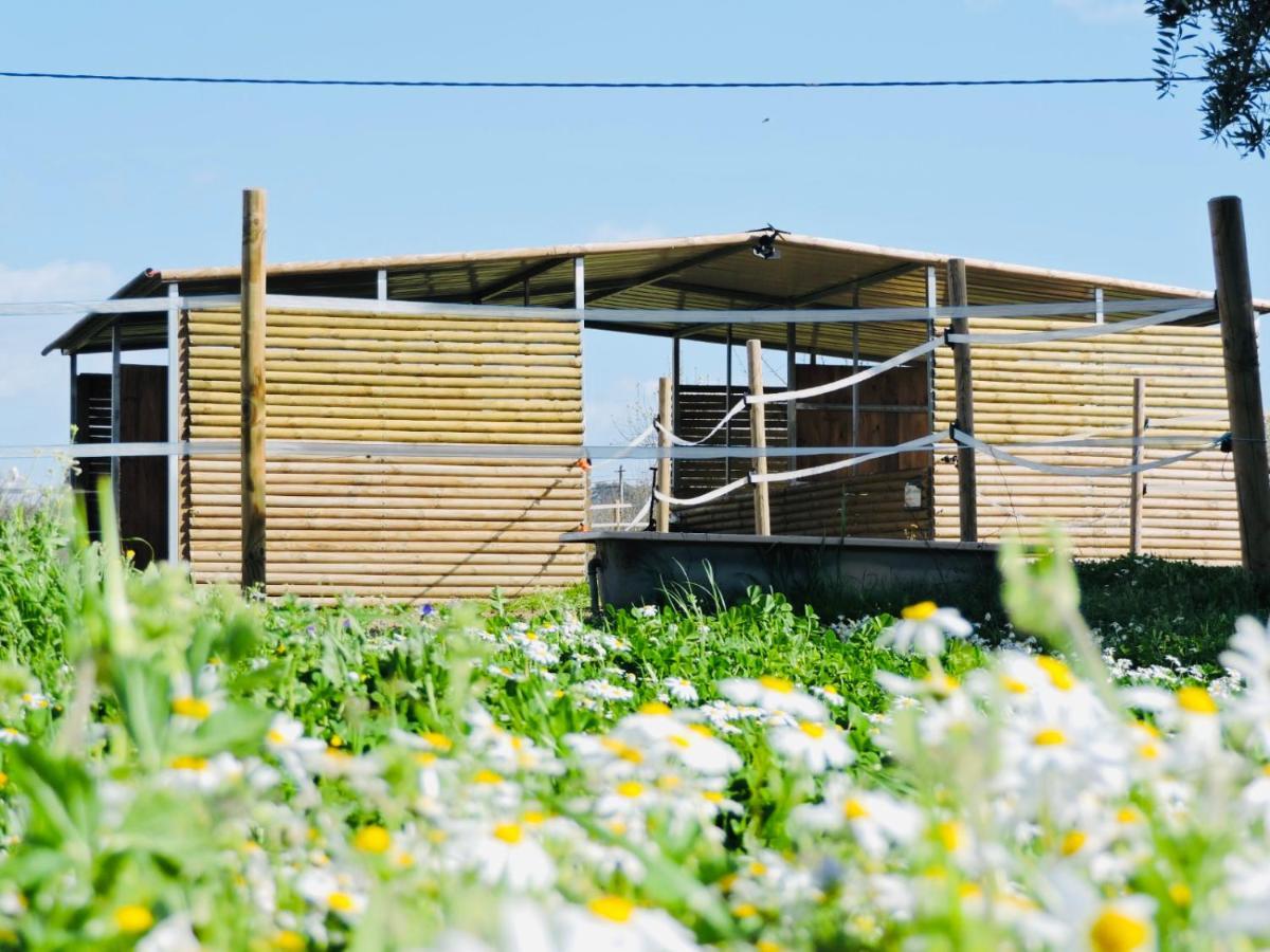 Nogueira Country House Fundão Exterior photo